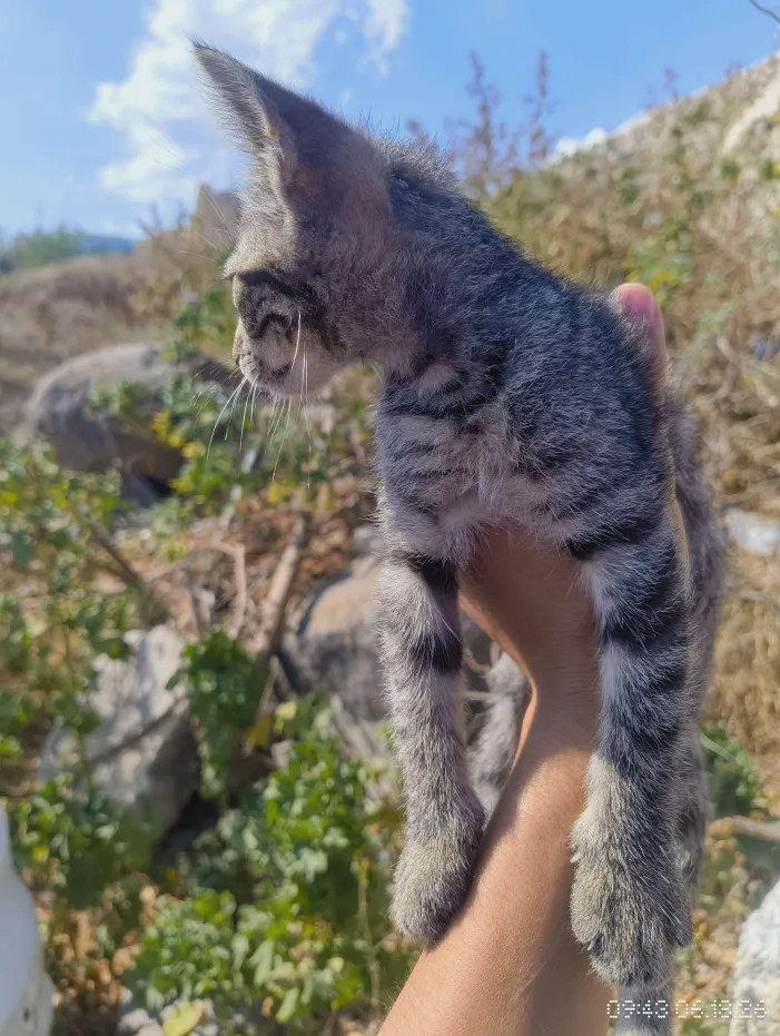 greece